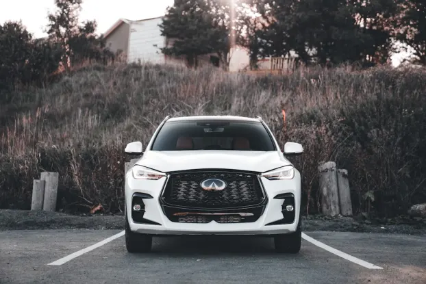 Wildz Kasyno Aplikacja Android/iOS